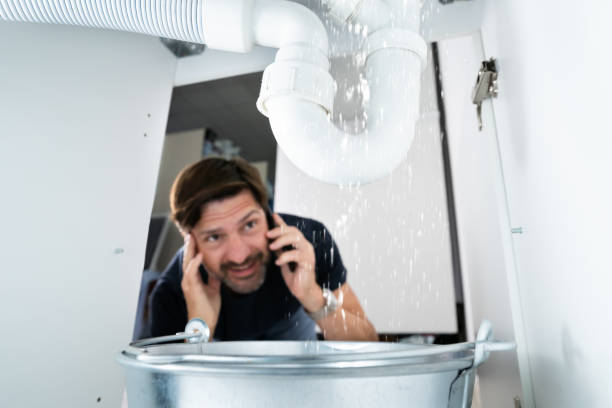 Best Shower Repair Services  in Le Mars, IA