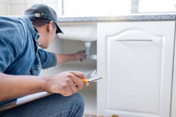 Best Commercial Plumbing Services  in Le Mars, IA