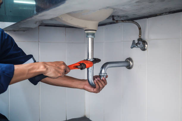 Best Plumbing Repair Near Me  in Le Mars, IA