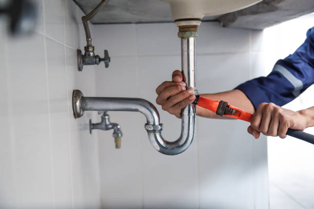 Best Emergency Plumbing Repair  in Le Mars, IA